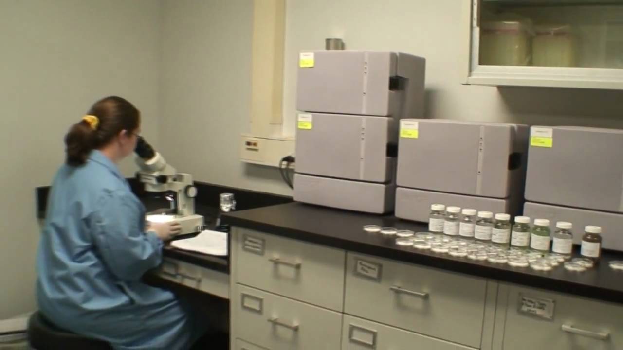 Belmont Labs keeping the environment safe