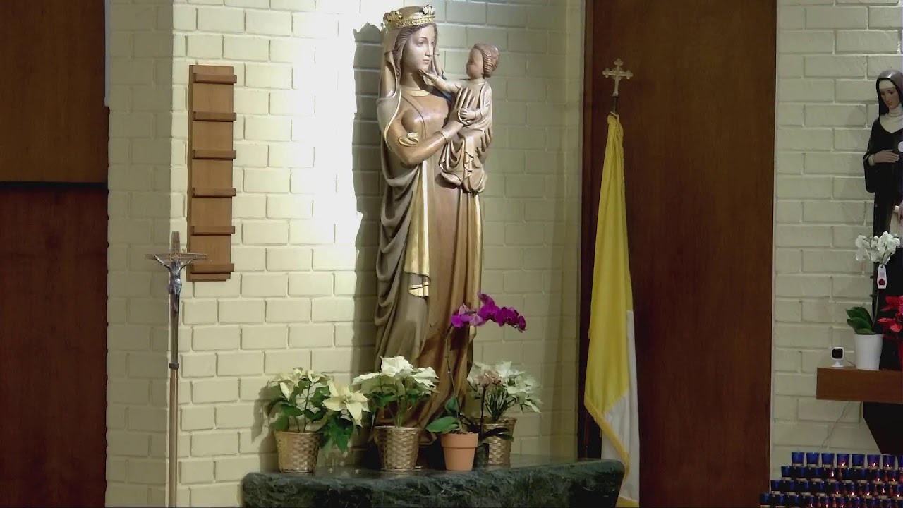 January 24, 2026, Daily Mass with Fr. Michael Pontarelli O.S.M.