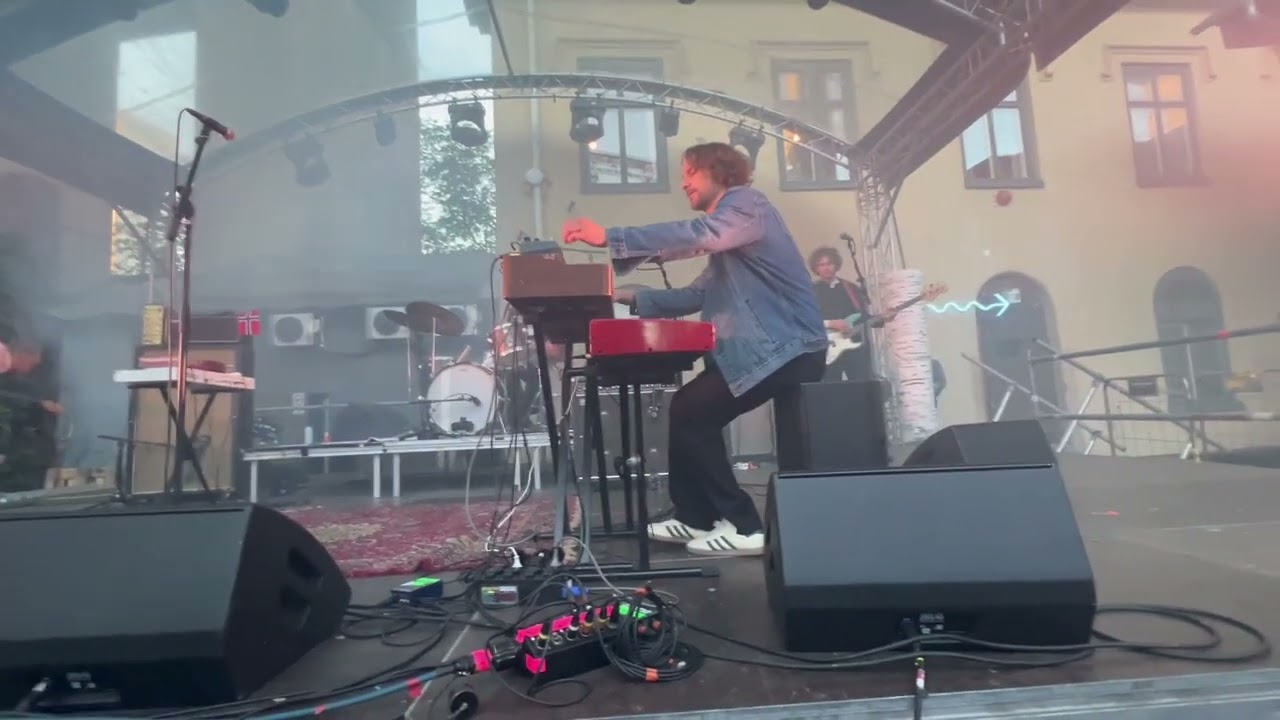 Dungen   Trädgården   20240529