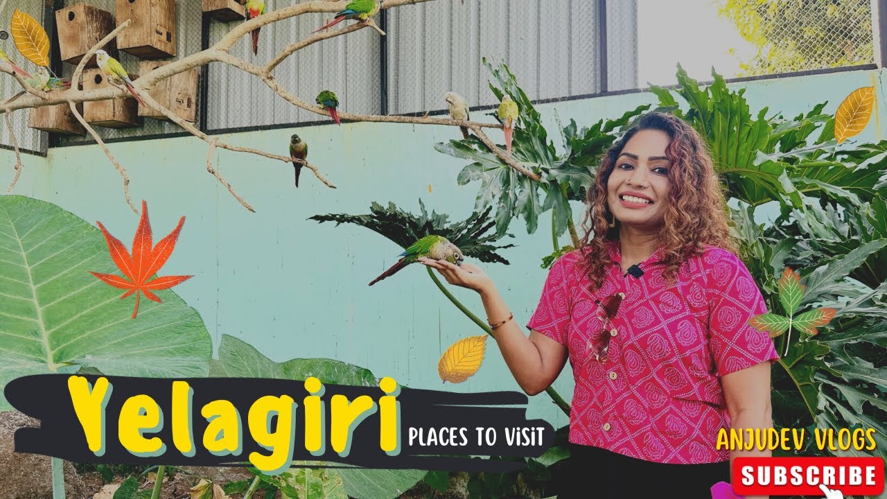 YELAGIRI Vlog Places to visit in Yelagiri Bangalore to Yelagiri Road Trip Yelagiri Tourist Places
