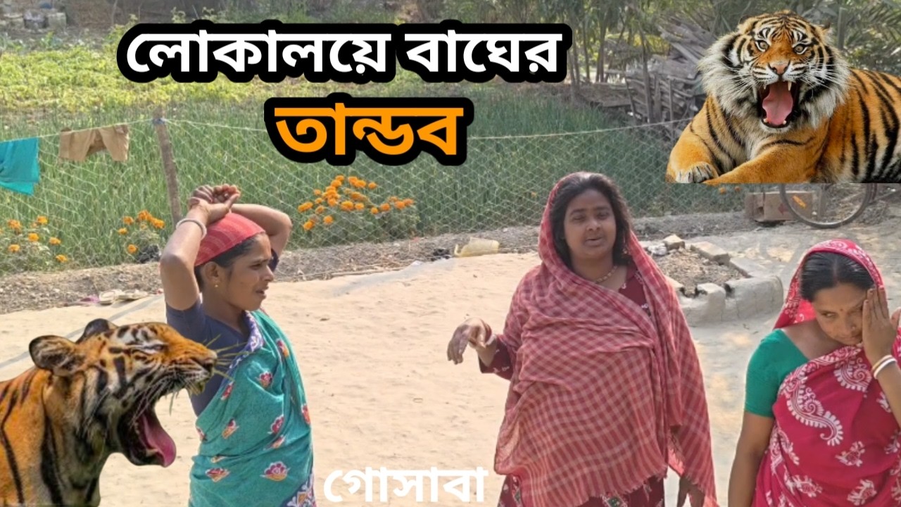 জঙ্গলের বাঘ লোকালয়ে।লোকালয় মানুষের আতঙ্ক।সুন্দরবন।সিজন ৩৪।পর্ব ১৭।Village Life Of Sundarbans