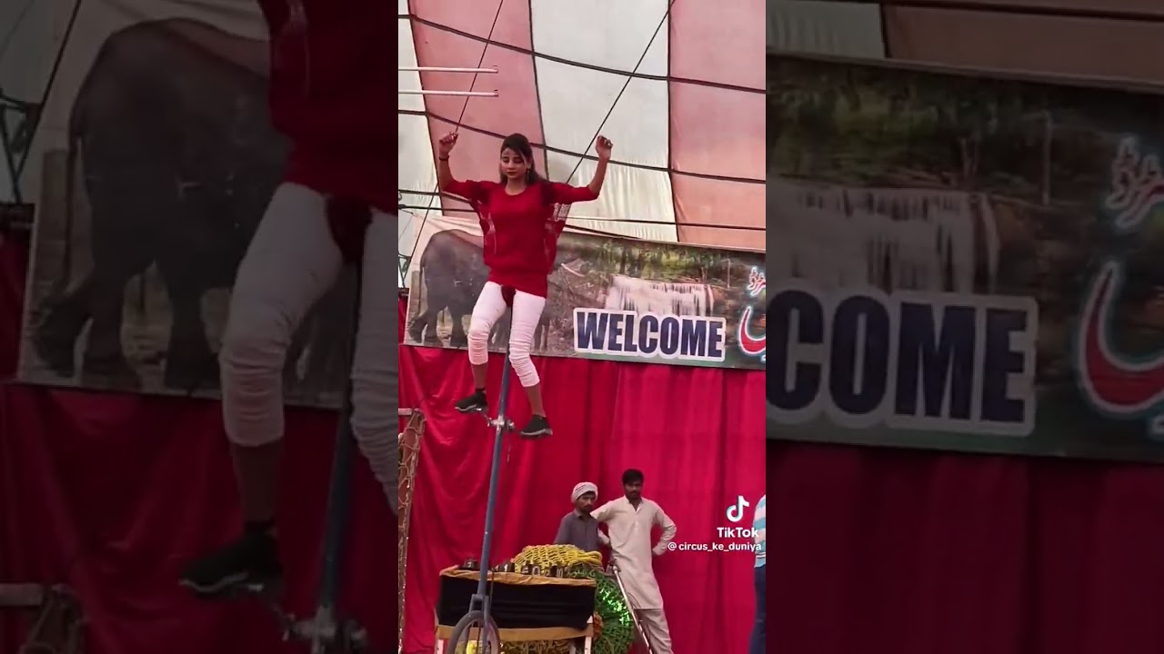 Pakistan Circus best performance