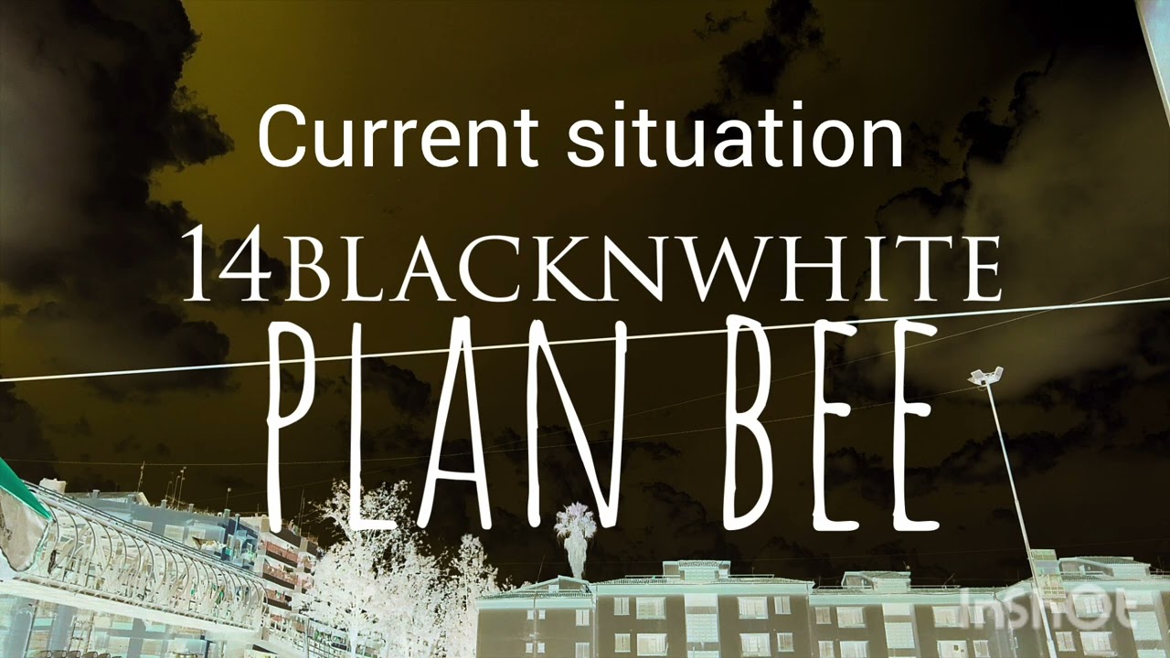 14blacknwhite _ Current Situation (audio)