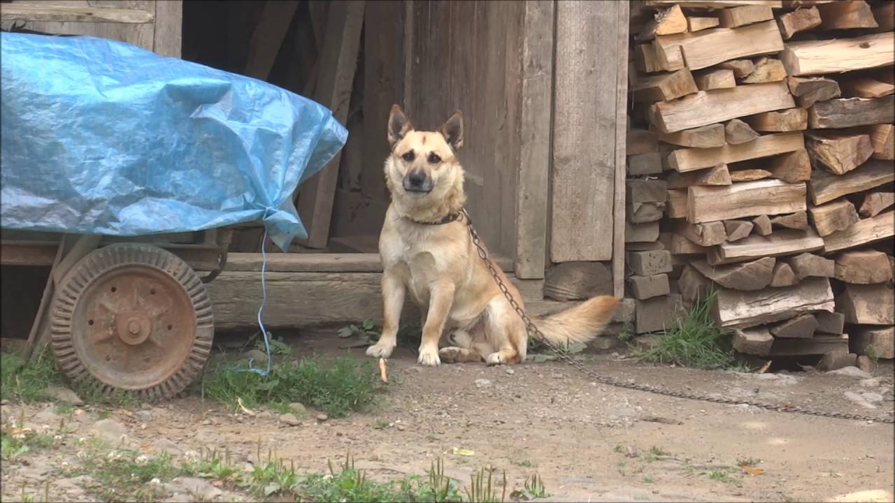 Ruský Potok, Národný park Poloniny