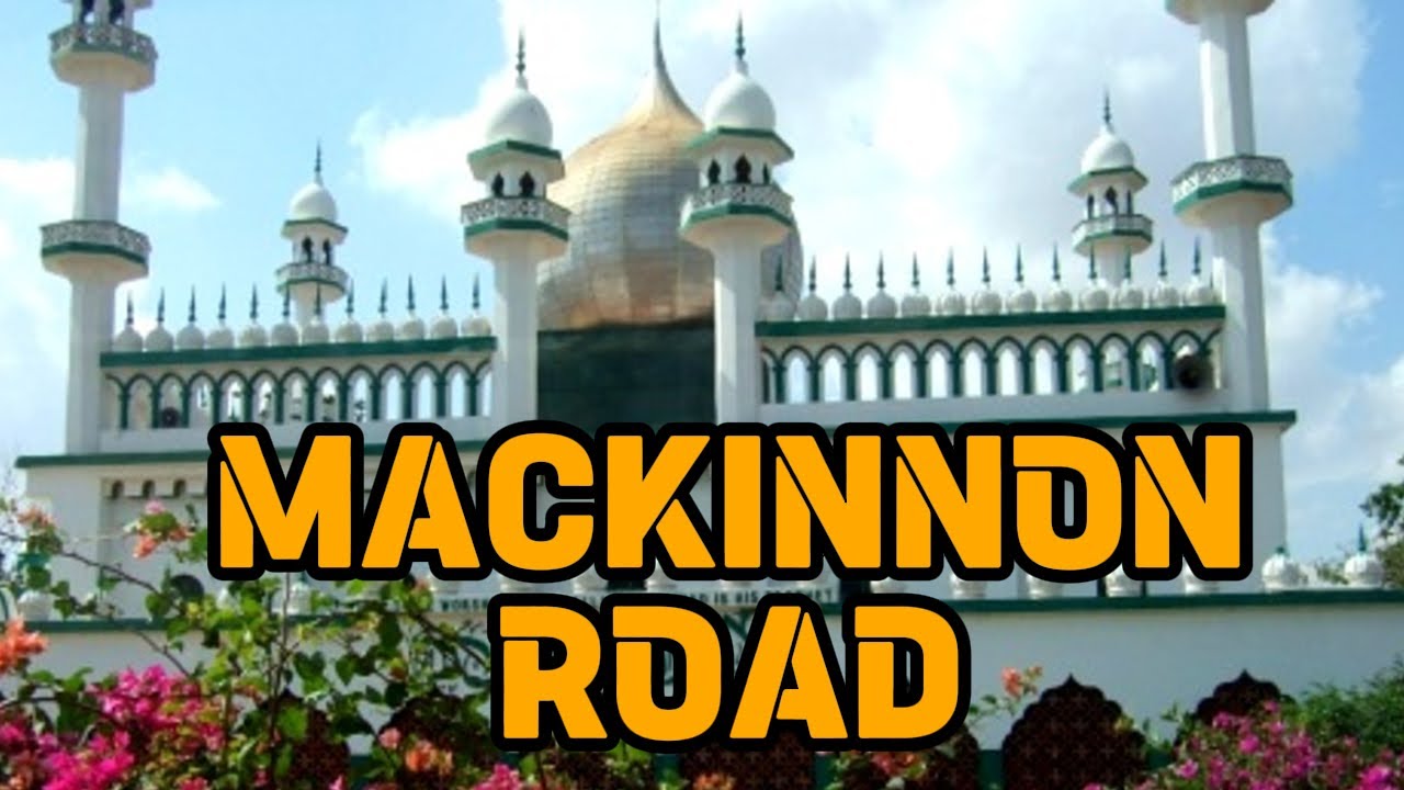 Mackinnon part 2