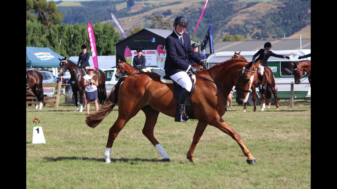 2020 Camp America Application - Horse Riding Instructor
