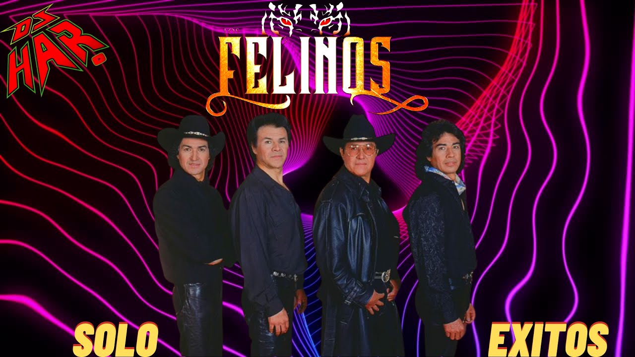 LOS FELINOS 10 DE 10 EXITAZOS PARA RECORDAR BUENOS TIEMPOS LO MEJOR DE LOMEJOR