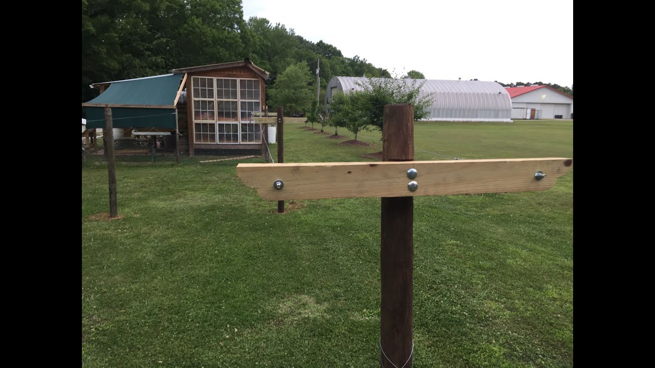 Building a Muscadine and Blueberry Arbor/Trellis