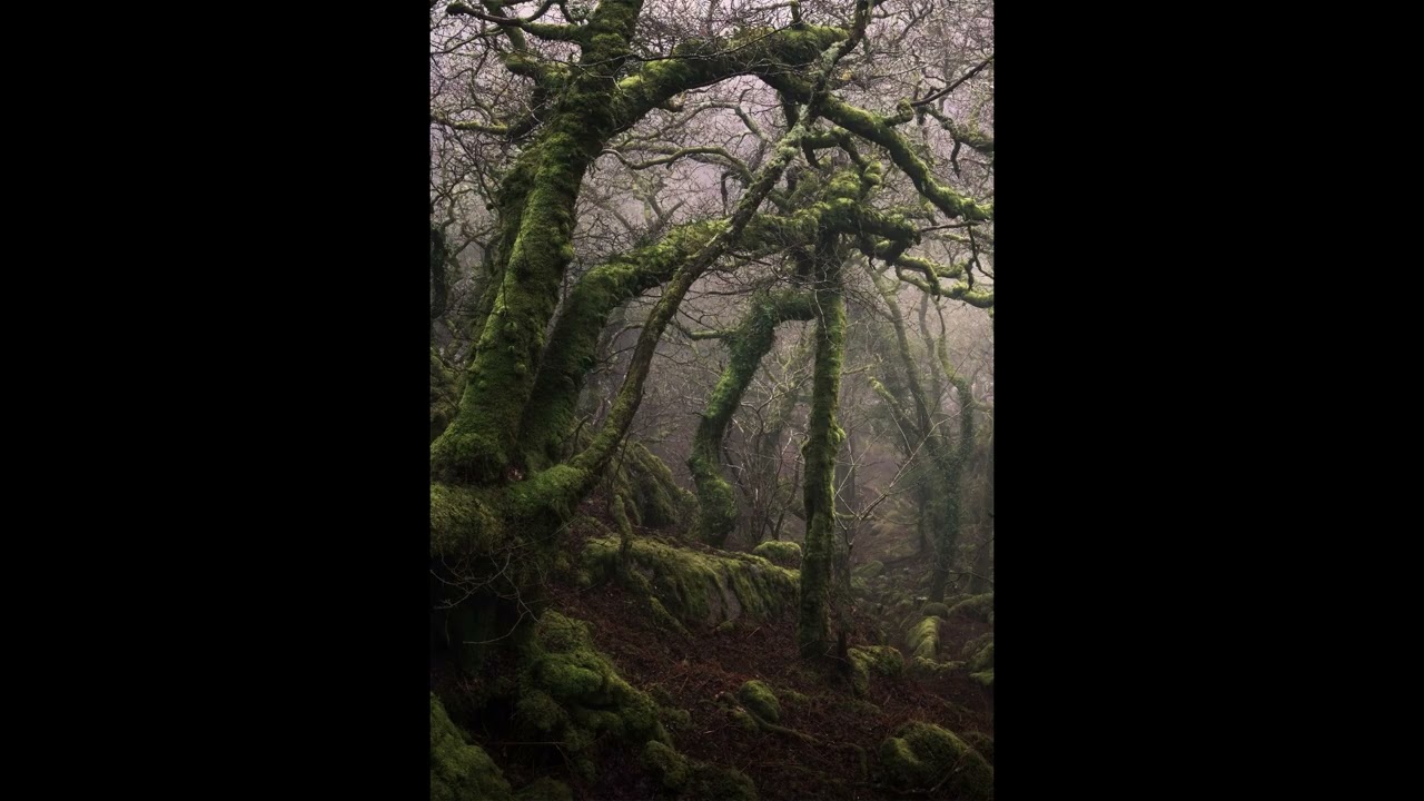 [FREE] AMBIENT X EXPERIMENTAL X RAGE TYPE BEAT - 