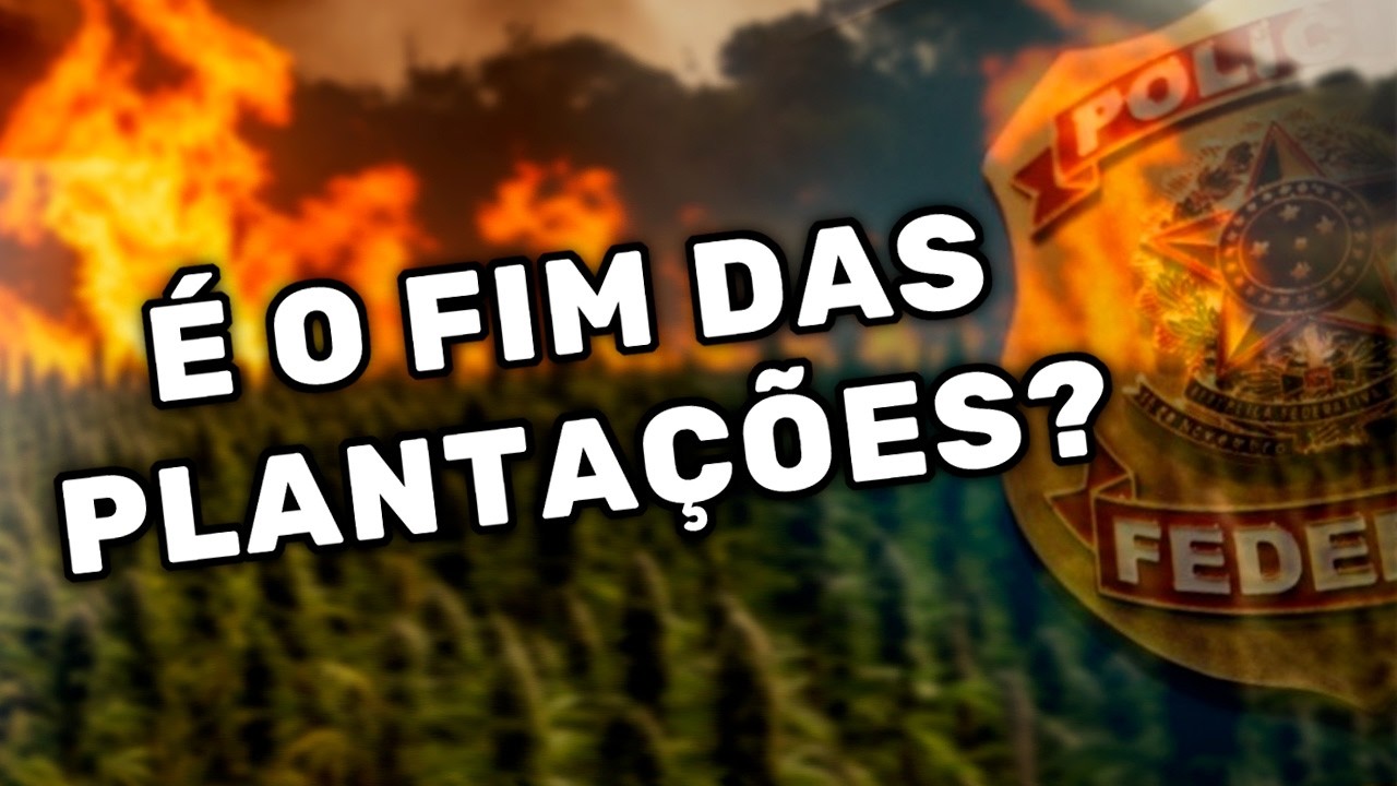 OPERAÇÃO NOVA ALIANÇA: O FIM DA MACONHA ILEGAL NO PARAGUAI