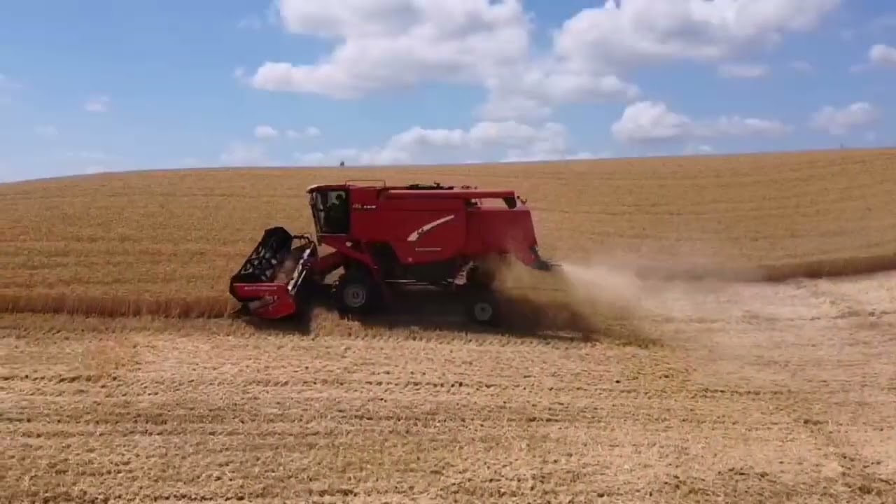trebbiatura 2022 societ&agrave; agricola Bandinelli