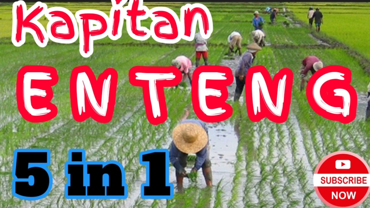 Kapitan Enteng 8 in 1 #ilocano #kapitanenteng_today #subscribe #kapitanenteng #dzwt540