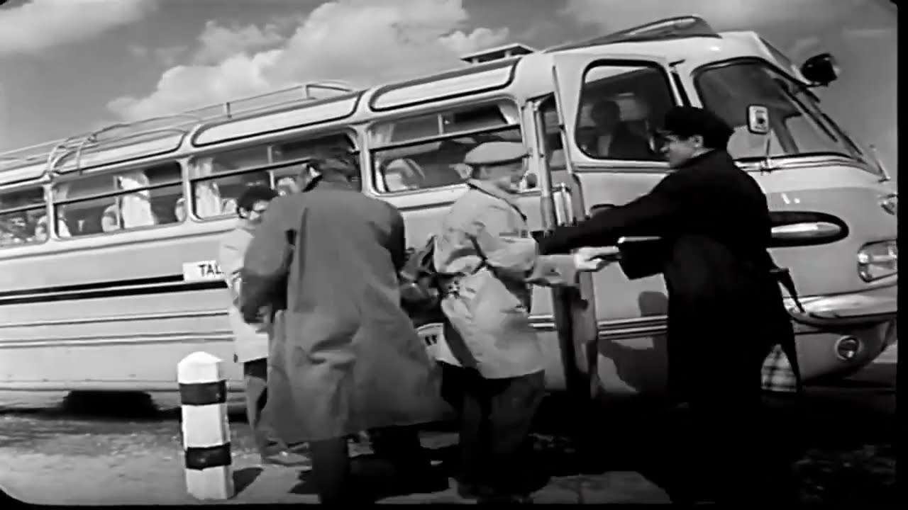 Икарус 55 на дорогах Эстонии #ikarus #икарус #estonia