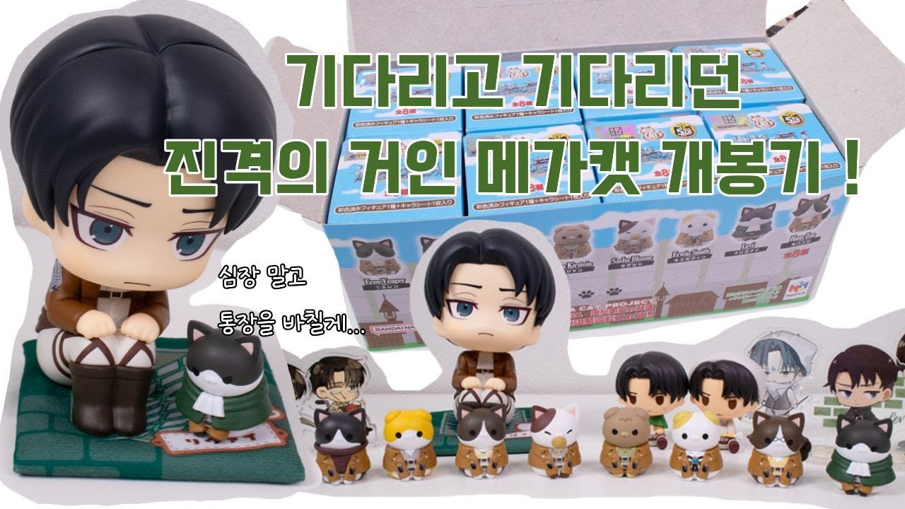 기다리고 기다리던 진격의거인 메가캣 도착 ! 귀여운데 용맹한 진격냥이들 리바이는 언제나올까 ?