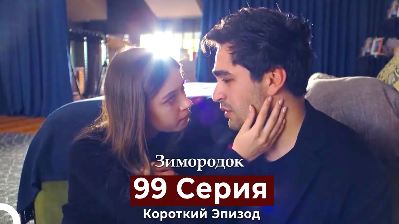 Зимородок 99 Cерия (Короткий Эпизод) (Русский дубляж)