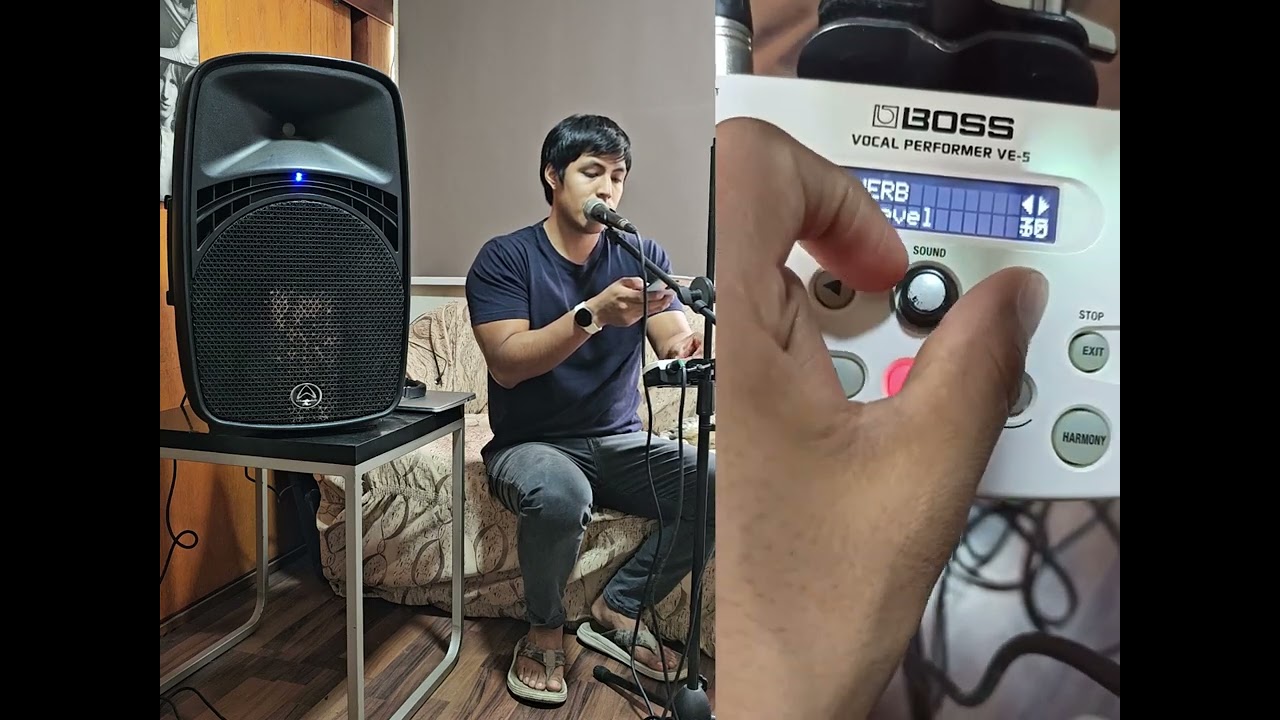 Boss VE - 5 / A la venta Lima