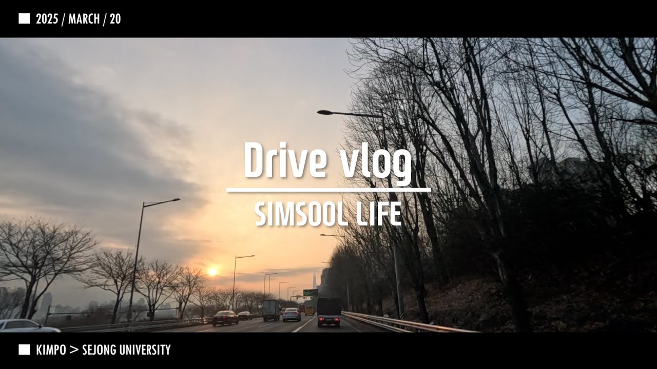 2025 0320 Видеоблог водителя, совершающего поездки на работу SIMSOOL Университет Седжон Весна
