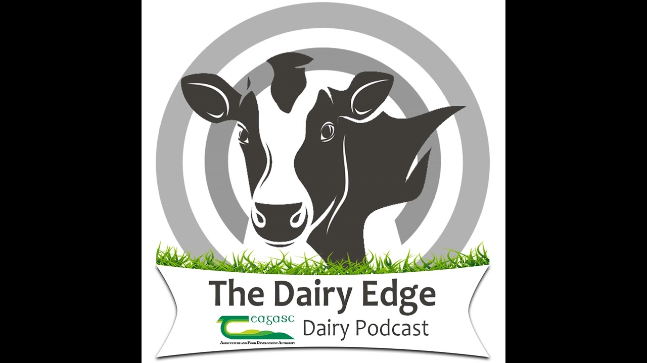 Let’s Talk Dairy Bonus Episode: System drift in dairy farming in Ireland