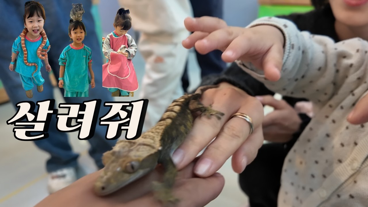 👧🏻👧🏻육아 브이로그 l 김천다솜생태관 l 김천녹색미래과학관 l 대구근교 아이들과 가볼만한 곳