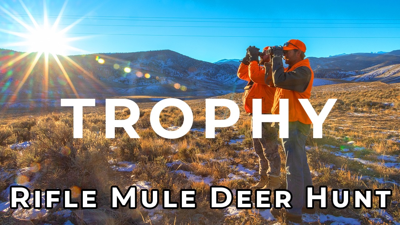 2024 4th Season Mule Deer Rifle Hunt