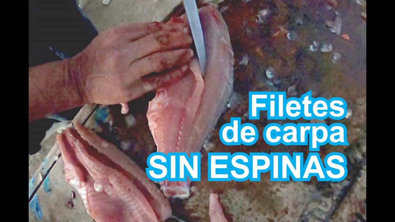 PESCADOR REVELA EL SECRETO DE FILETE DE CARPA SIN ESPINAS (el secreto de un pescador)