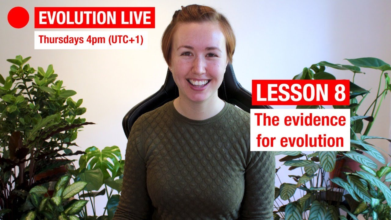 Evolution Live: The evidence for evolution