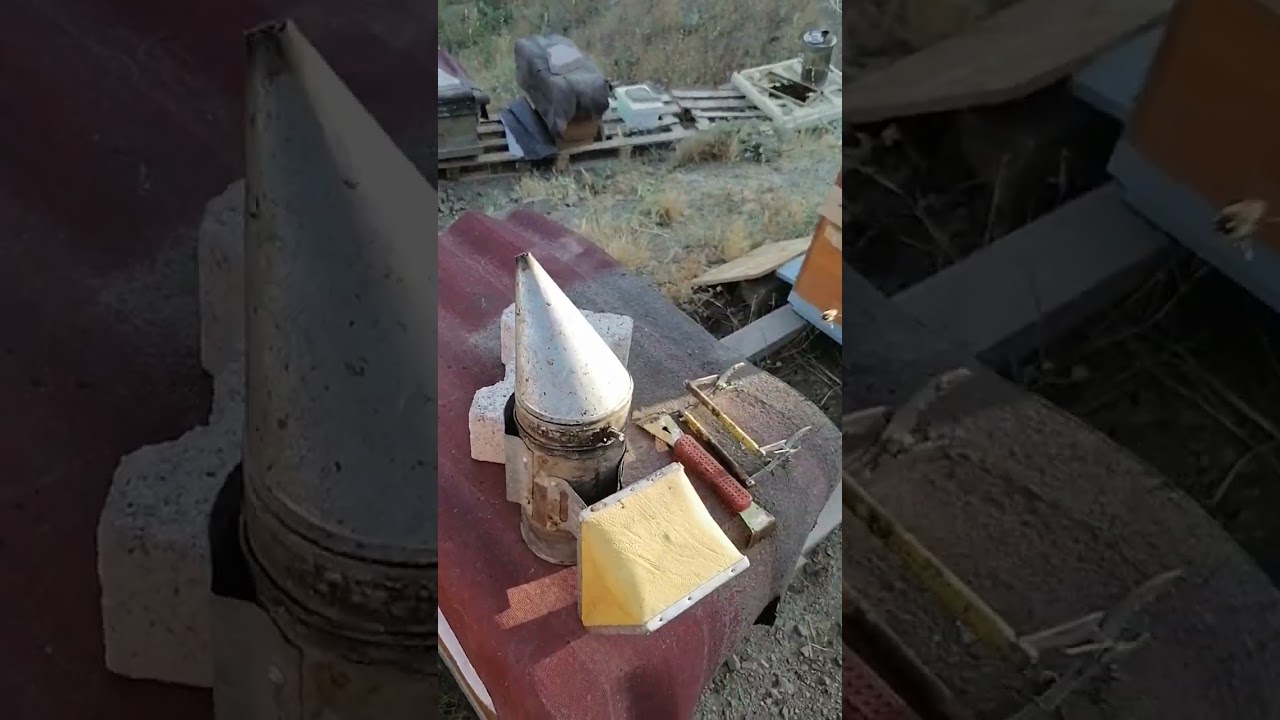19 nisanda bölme yapılan koloni bal durumu