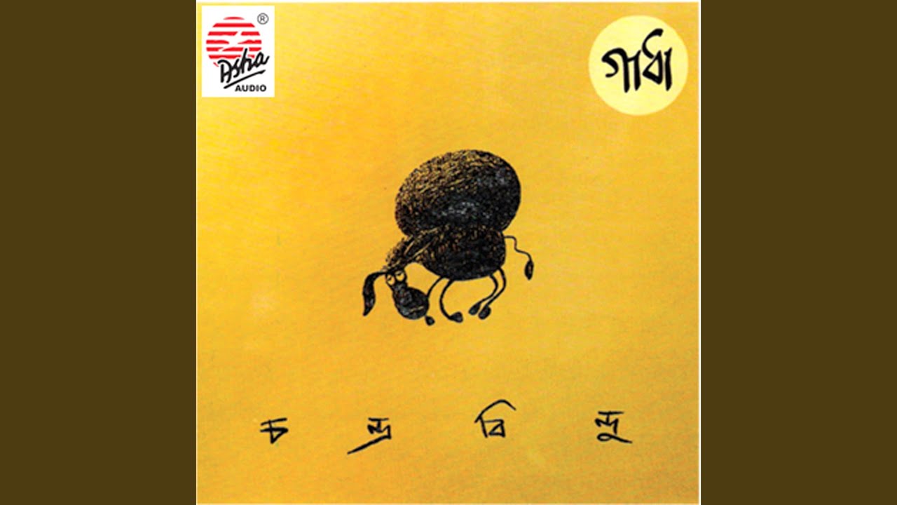 Jhilmil