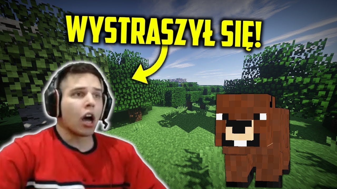 ZONY! Wystraszył się bobra! Walka z bossem na lagach! 360 zombie! | SHOTY | DEFF