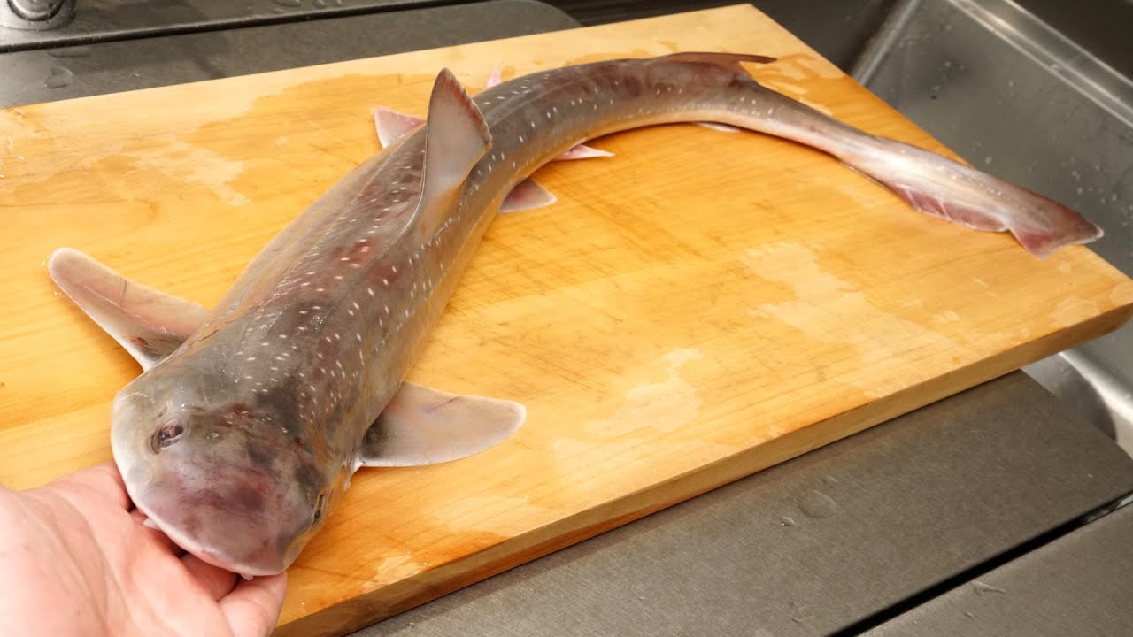 フカ（サメ）のさばき方と湯引きの作り方「ホシザメ」