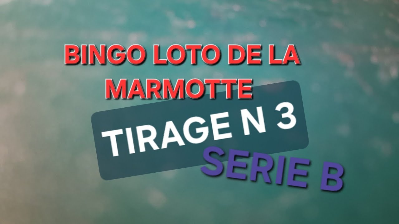 B3. TIRAGE N 3 SERIE B BINGO-LOTO DE LA MARMOTTE 