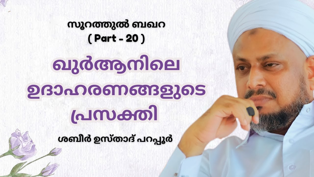 ഖുർആനിലെ ഉദാഹരണങ്ങളുടെ പ്രസക്തി | സൂറത്തുൽ ബഖറ - Part 20 | Shabeer Usthad Parappur