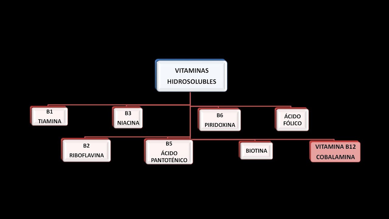 Vitaminas hidrosolubles: Vitamina B12 o Cobalamina