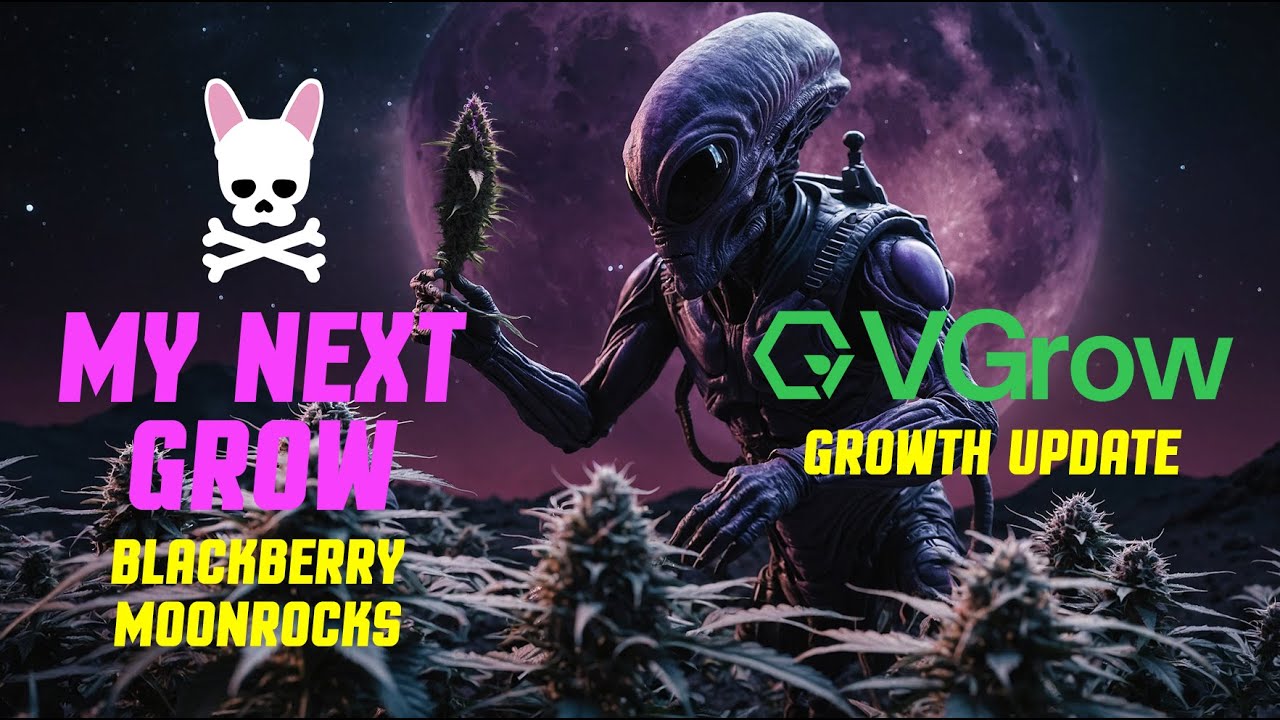 VIVOSUN VGrow - BBMR