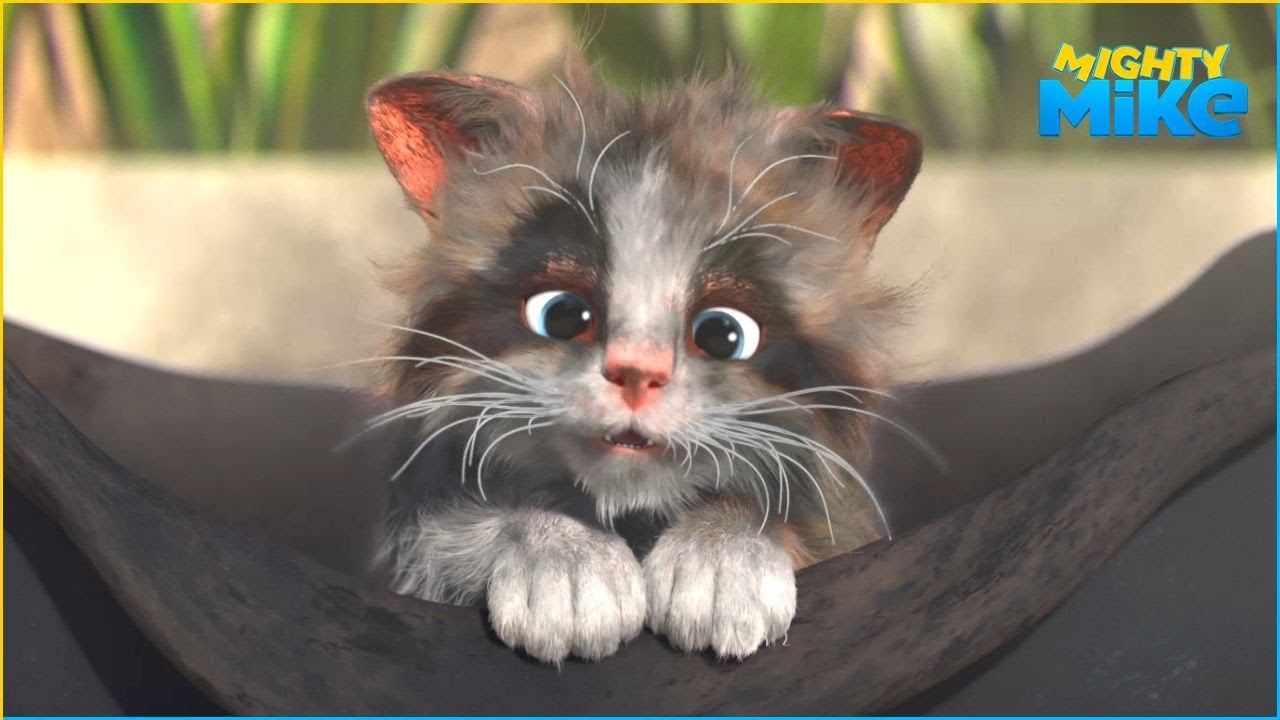 Feline A Little Racoon | Mighty Mike | 40' Compilation | Cartoon for Kids