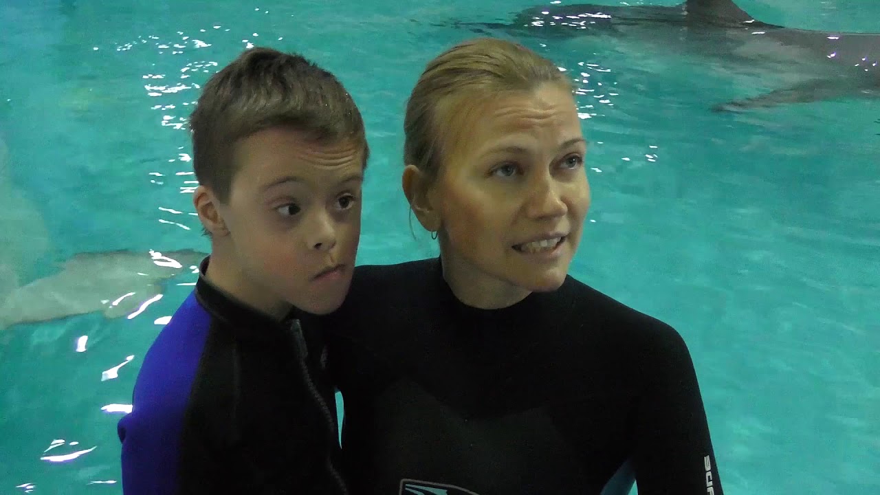 #Dolphin #дельфинотерапия #лазаревское #