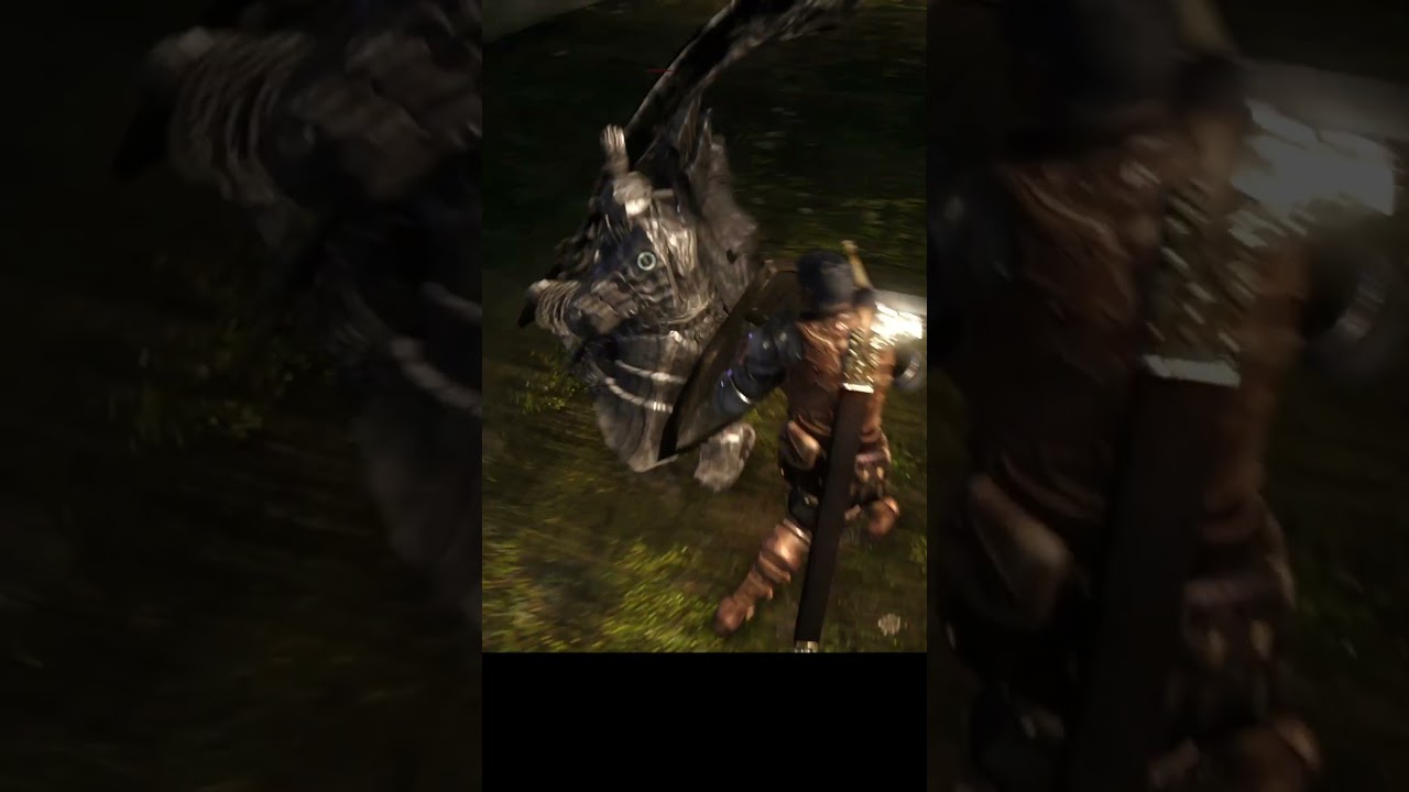 Хавел Скала (англ. Havel the Rock) не просто так получил свое имя  #darksouls