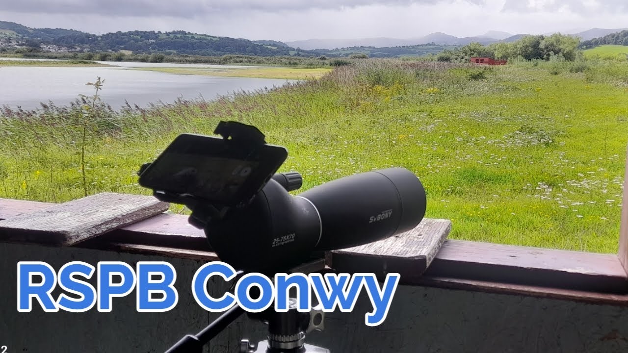 rspb conwy