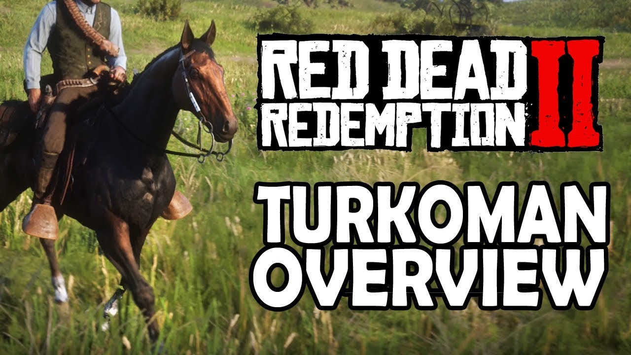Обзор туркмен | Лошади в Red Dead Redemption 2