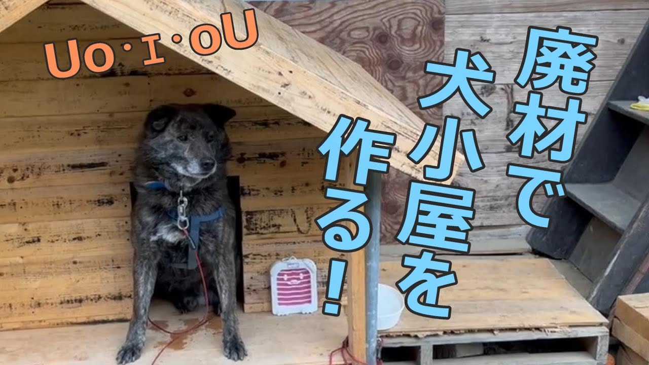 【DIY】解体した廃材で犬小屋を作りますUo･ｪ･oU -We built a doghouse　out of scrap wood-