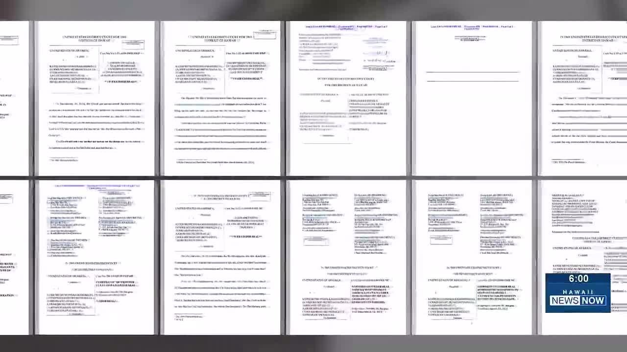 Unsealed court records detail FBI raid, witness threat during hitman-for-hire investigation