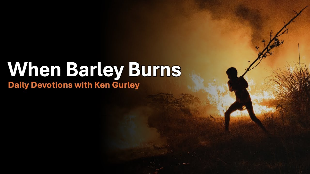 When Barley Burns