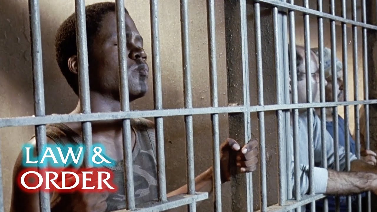 Law & Order - How Many Killers Does It Take to Screw In A Light Bulb?