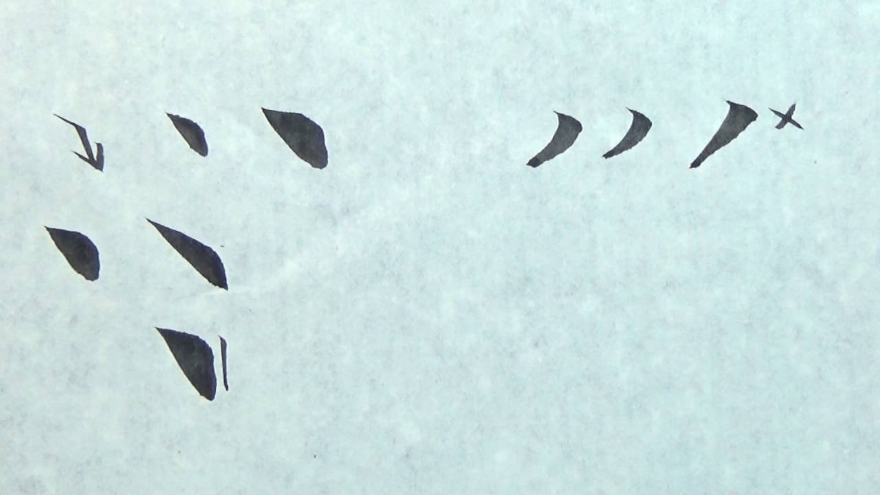 楷書 倪寬贊 點 撇 鉤