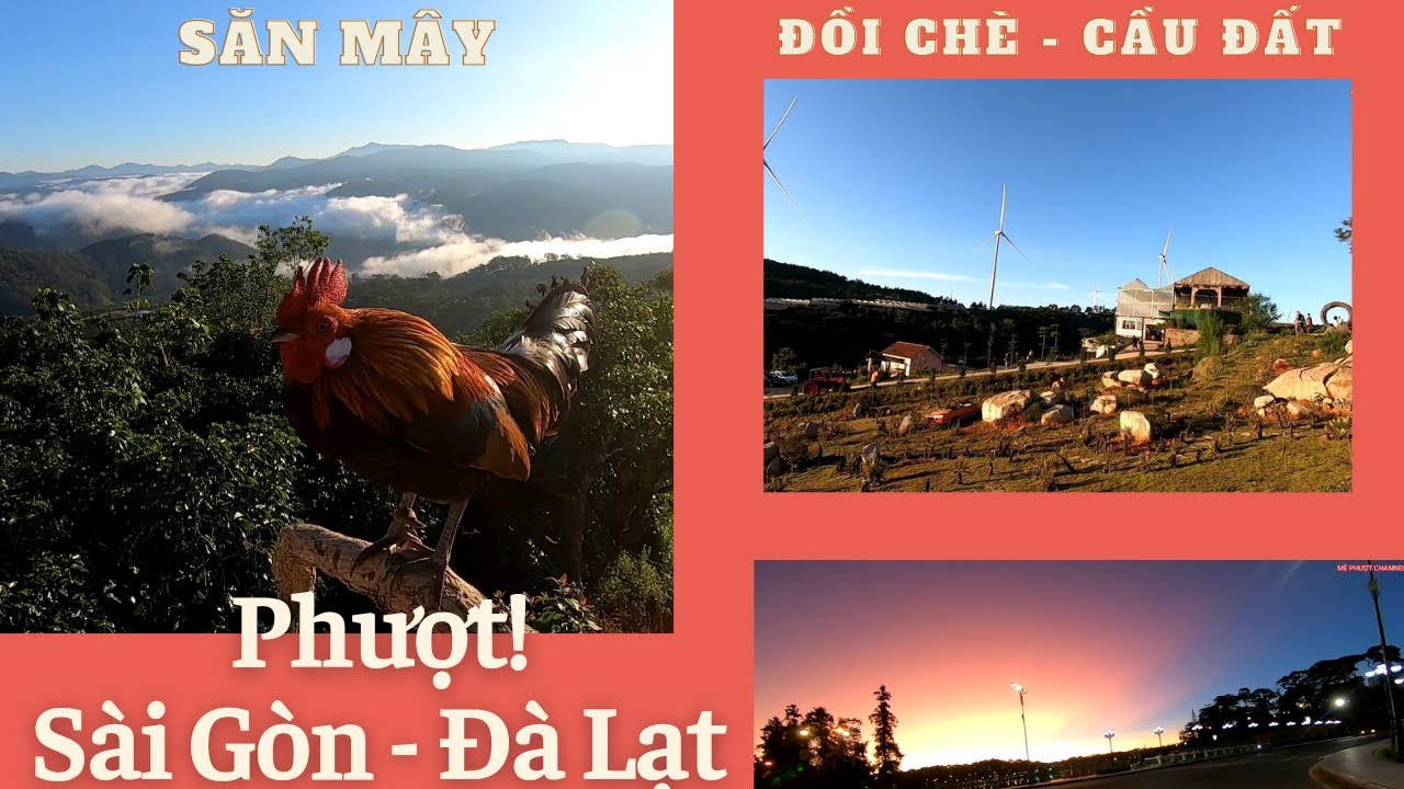 PHƯỢT_SÀI GÒN - ĐÀ LẠT (Săn Mây Đồi Chè_Cầu Đất)_MÊ PHƯỢT CHANNEL