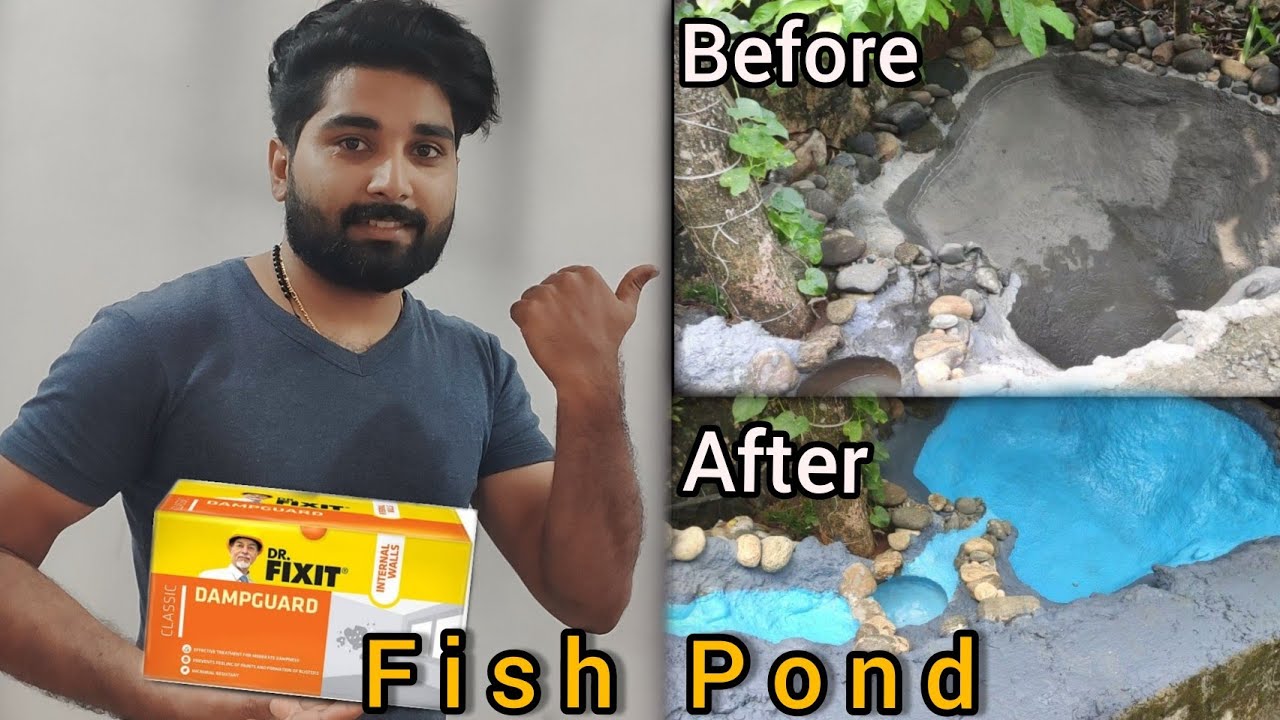 ഒരു മീൻകുളം ഉണ്ടാക്കിയാലോ |Fish pond Part 1 | Making a fish pond | Waterproof Paint . No leakage |
