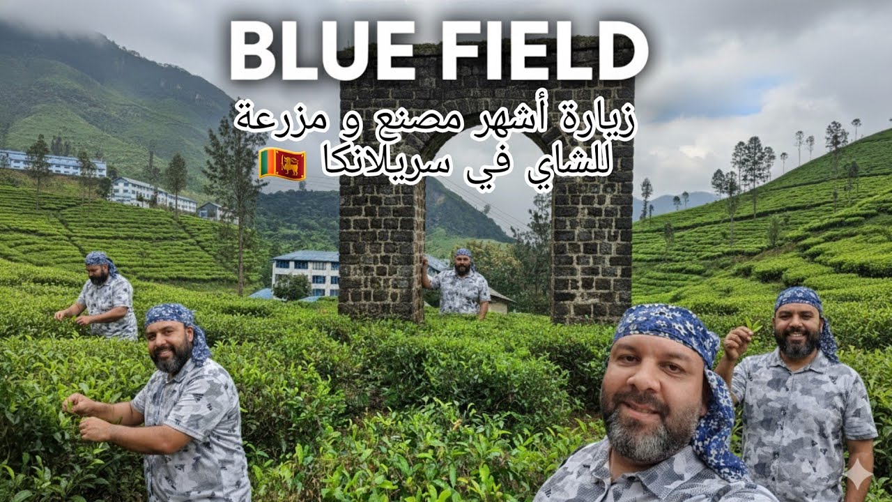 زيارة أشهر مصنع و مزرعة شاي في سريلانكا 🇱🇰