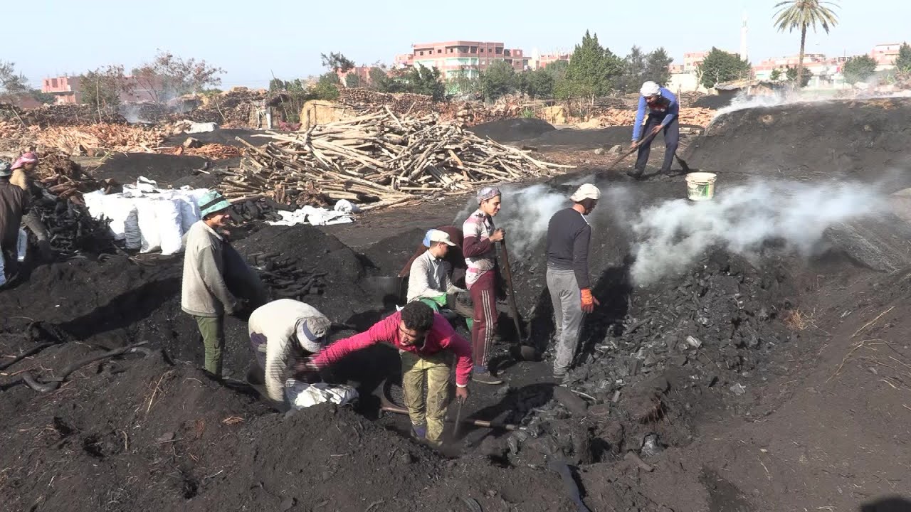 Smoke, soot and sweat: Egypt's charcoal workers | AFP