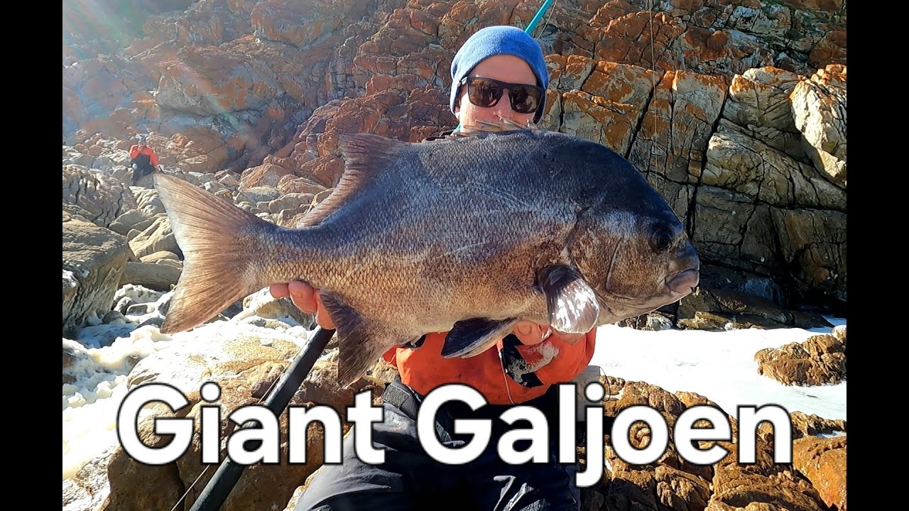 GIANT GALJOEN in WILD conditions. Fishing with AJ De Beer