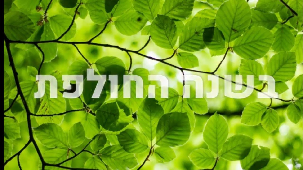 פותחים שנה באמב